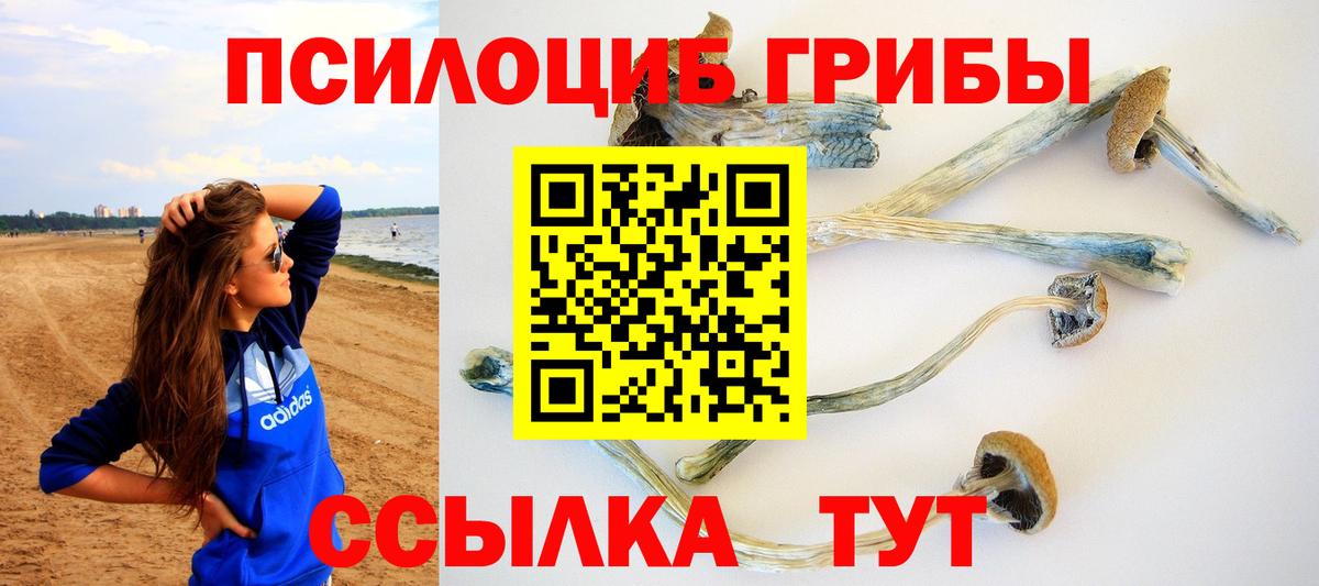 Галлюциногенные грибы Cubensis Йошкар-Ола
