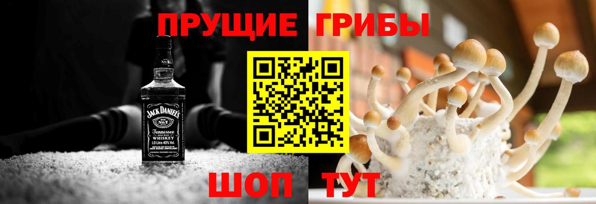 Йошкар-Ола  Псилоцибиновые грибы Psilocybine cubensis  Вход с VPN 
